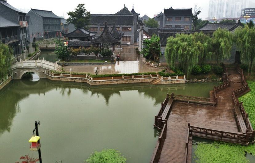 冷知识分享平台-双胞胎兄弟性格一样吗?,揭秘你不知道的世界